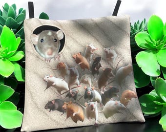 Unique accessories for rats