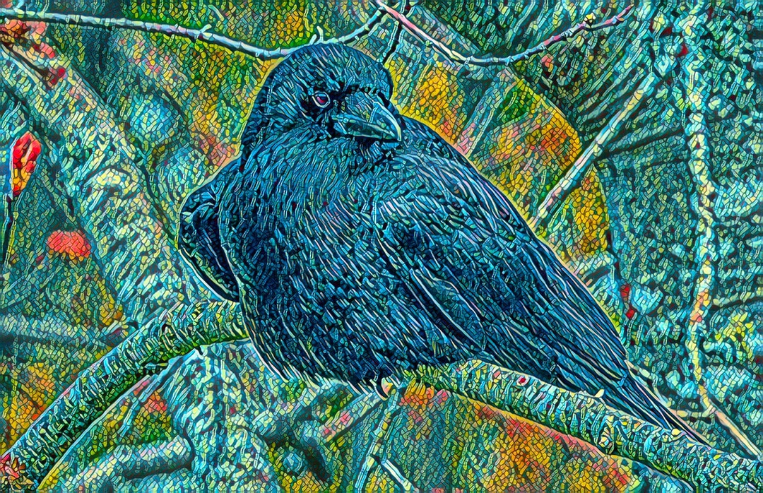 The Wise and Intelligent Raven - Etsy
