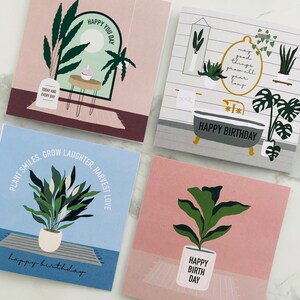 4 x série de plantas de feliz aniversário