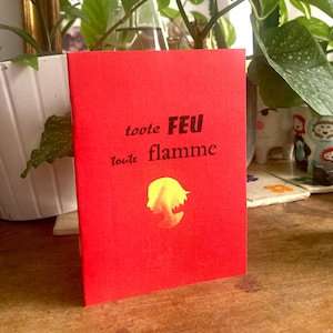 Cały ogień, cały płomień - Mini książka - Poezja, typografia i ilustracje