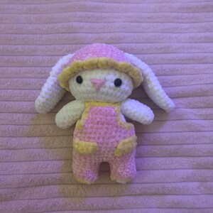 Baby farmer bunny