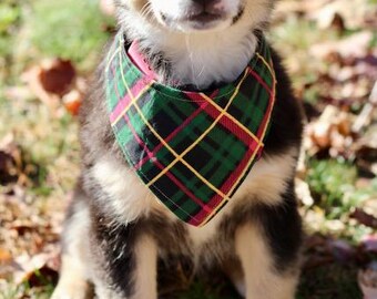 Dog Bandana, Reversible, Harry Potter, Christmas, Dallas, VT, Gators, S, M, L, XL sizes.