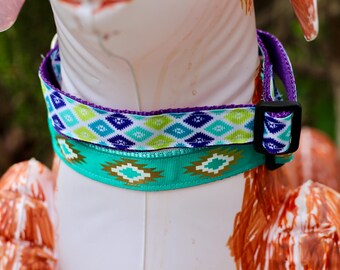 Adjustable Dog Collars, Disney, Donald Duck, Beauty, Parks, Star Wars, Southwestern 1 inch wide