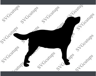 Download Black Lab Svg File Etsy