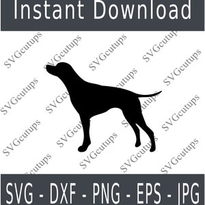German shorthair pointer Svg, GSP svg file, German pointer Silhouette, german pointer Cut file, Dxf, Bird dog svg
