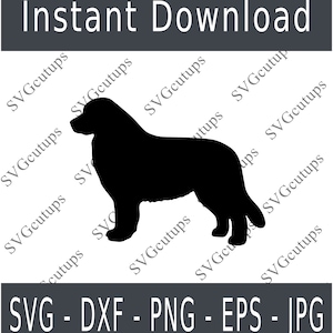 Berner Sennenhund svg - Dxf - Png - digitaler Download - Schneidedatei für Cricut - Schneidedatei für Silhouette