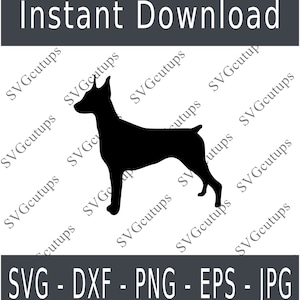 Miniature Pinscher Svg, Miniature Pinscher Silhouette, Mini Pinscher Cut file, Mini Pinscher Dxf, Mini Pinscher Outline