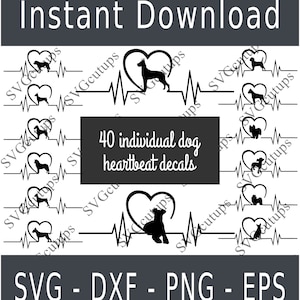 Pacote svg de batimentos cardíacos de cachorro, pacote svg de raças de cachorro, decalque svg de carro para cachorro, eletrocardiograma de cachorro, golden retriever, labrador, goldendoodle