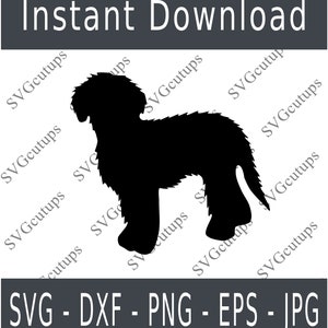 Goldendoodle Svg, Eps, Dxf, Golden doodle Svg, silhouette Goldendoodle, contour Goldendoodle, fichier coupe Goldendoodle