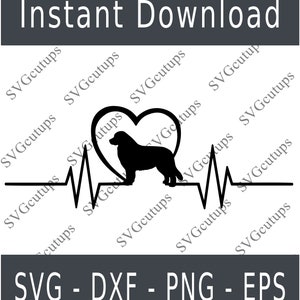 Berner Sennenhund svg - geschnittene Datei - SVG - Dxf - Png - Hund svg - geschnittene Datei für Cricut - geschnittene Datei für Silhouette - Herzschlag