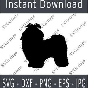 Shih tzu Svg, Silhouette Shih tzu, fichier coupe Shih tzu, Shih tzu Dxf, Shih tzu Eps, contour Shih tzu, Shih tzu ClipArt