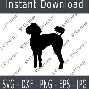 Standard poodle Svg, Poodle svg, Poodle dxf, Poodle png, Poodle eps, Poodle cut file, Poodle Silhouette, Poodle outline