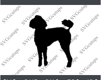 Standard poodle Svg, Poodle svg, Poodle dxf, Poodle png, Poodle eps, Poodle cut file, Poodle Silhouette, Poodle outline