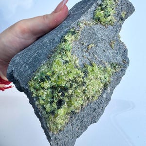 Peut inclure: Une roche grise rugueuse avec des amas de cristaux vert citron vif. Les cristaux sont regroupés en taches sur la surface de la roche, avec des inclusions vert foncé et noires. La roche est tenue dans une main.