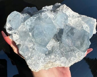 May include: A large cluster of celestite crystals with a light blue color. The crystals are clustered together in a natural formation, with some of the crystals having a more pointed shape than others.