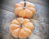 Primitive Pumpkins,grungy coffee stained pumpkins,bundle of 2 pumpkins,fall decor,pumpkin decor,Halloween decor,stuffed little pumpkins