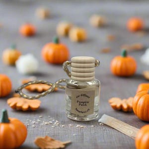 Pumpkin Patch Car Diffuser