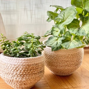 Seagrass Planter Pot