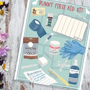 Downloadbare Bunny Rabbit Wall Art EHBO-kit Poster | Huiskonijn Educatief informatieblad downloaden | Pet Bunny Care Art Print | Bunny Decor