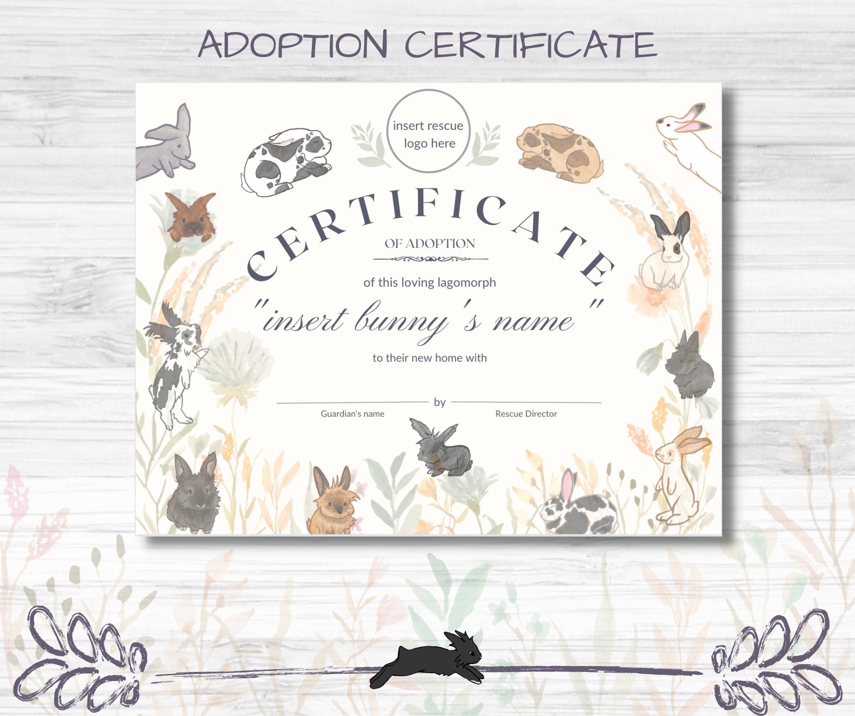 Pet Bunny Rabbit Rescue Shelter Adoption Foster Applications Downloads ...