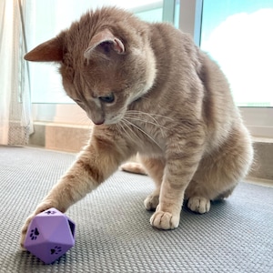 Puede incluir: Un gato atigrado de color naranja claro con marcas blancas en la cara y el pecho, mirando un juguete geométrico de color morado con múltiples facetas. El juguete tiene pequeñas huellas de patas recortadas y una abertura en un lado.