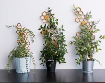 Honeycomb trellis, Plant trellis for indoor plant, Wood plant trellis, Houseplant trellis, Large plant trellis, Plant climber,Flower trellis
