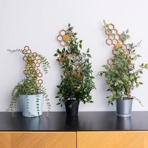 Honeycomb trellis, Plant trellis for indoor plant, Wood plant trellis, Houseplant trellis, Large plant trellis, Plant climber,Flower trellis