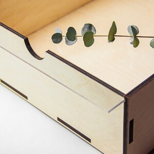 May include: A wooden box with a clear lid, featuring a sprig of eucalyptus leaves inside. The box has a natural wood finish and a dark brown trim.