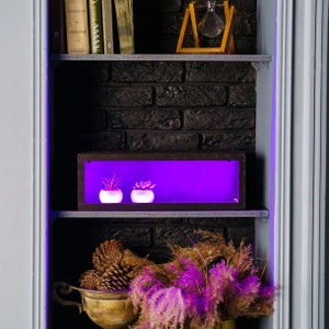 Display Shelf for Collectibles, Shelf with LED, Wood Shelf with Light, LED Wood Shelf, LED Display Shelf, Wooden Shelf for Wall