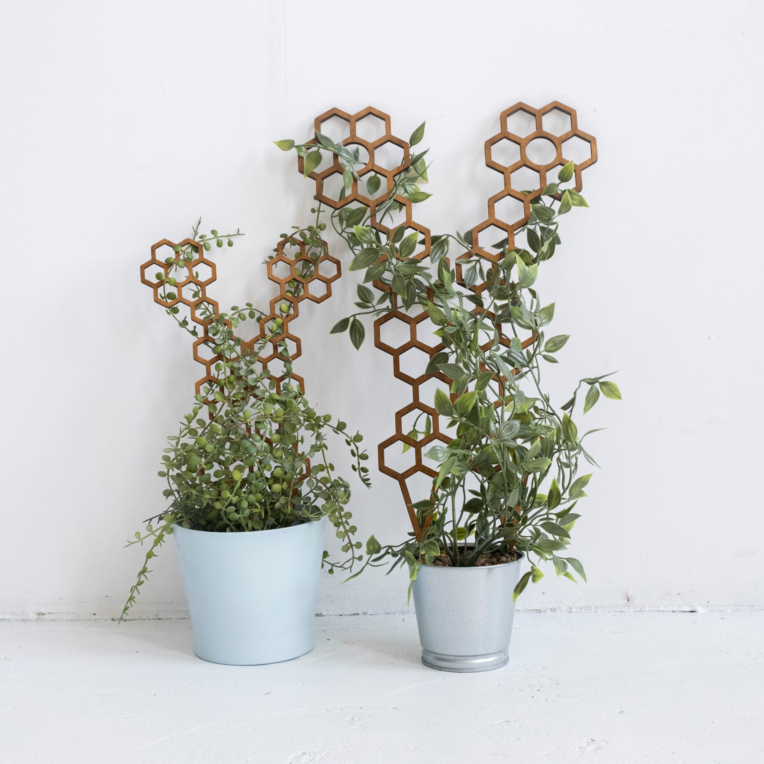 Indoor Plant Outdoor Metal Iron Garden Trellis for Protective Stick Stakes  Supports Flower Rings - China Iron Garden Trellis and Outdoor Metal Trellis  price | Made-in-China.com