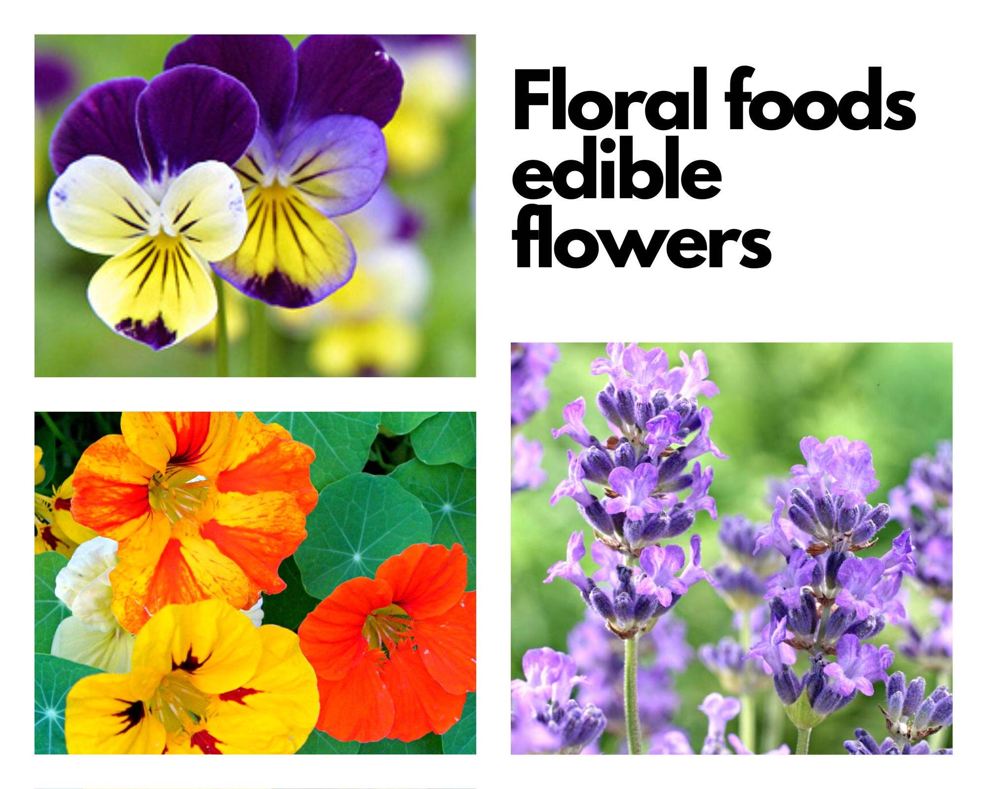EDIBLE FLOWERS for FOOD Beautiful Blossoms for Addition to -  Finland