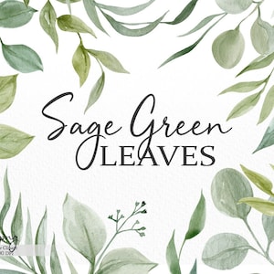 Clipart de verdure à l’aquarelle, feuilles vert sauge png, clipart floral boho, clipart nuptial, png botanique, plante d’eucalyptus, téléchargement numérique