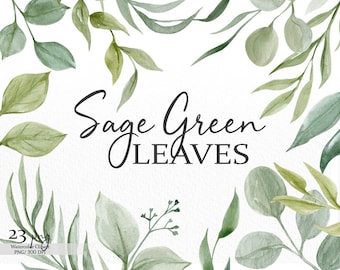 Clipart de hojas verde salvia en acuarela, estilo bohemio floral (descarga digital)