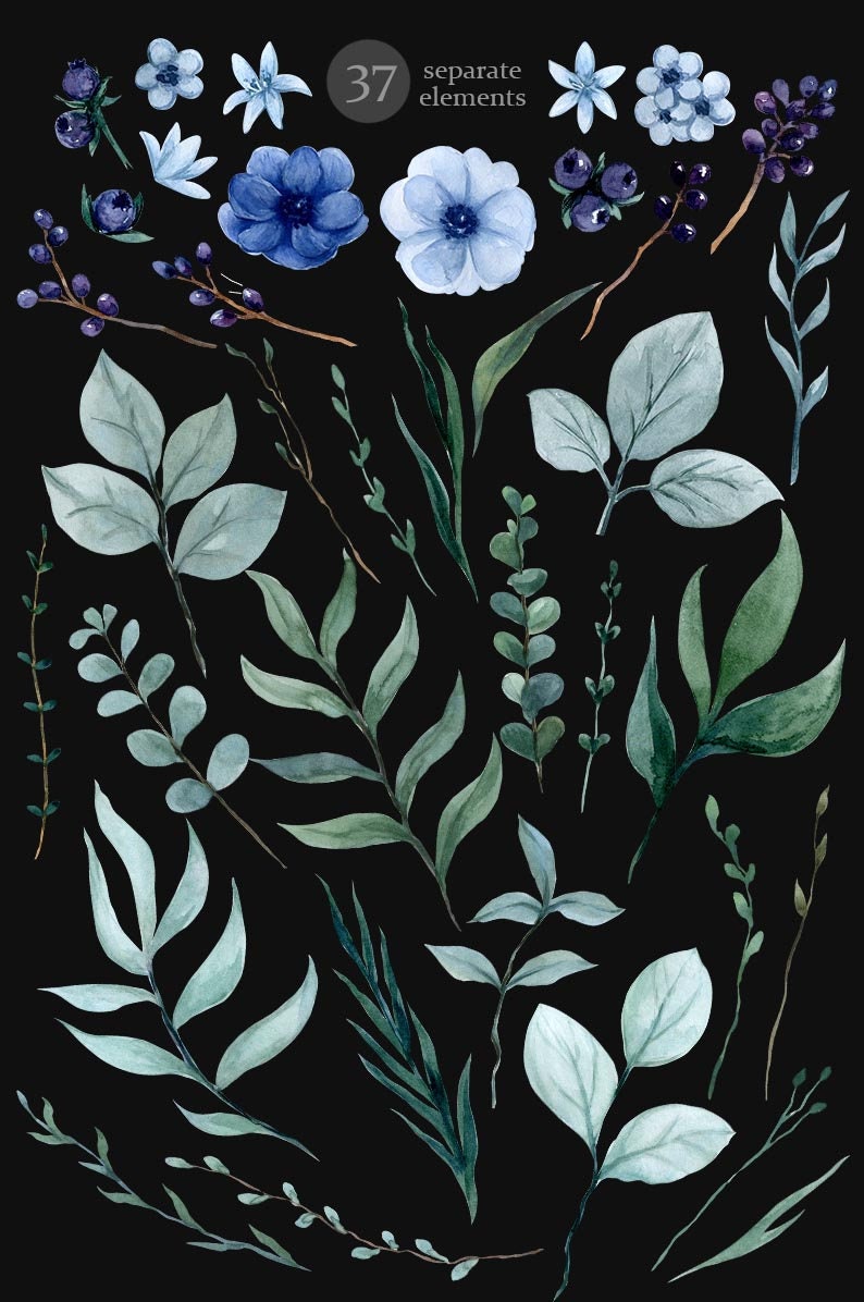 May include: A set of 37 watercolor illustrations featuring blue and green foliage, flowers, and berries. The illustrations are perfect for creating invitations, cards, and other paper crafts.