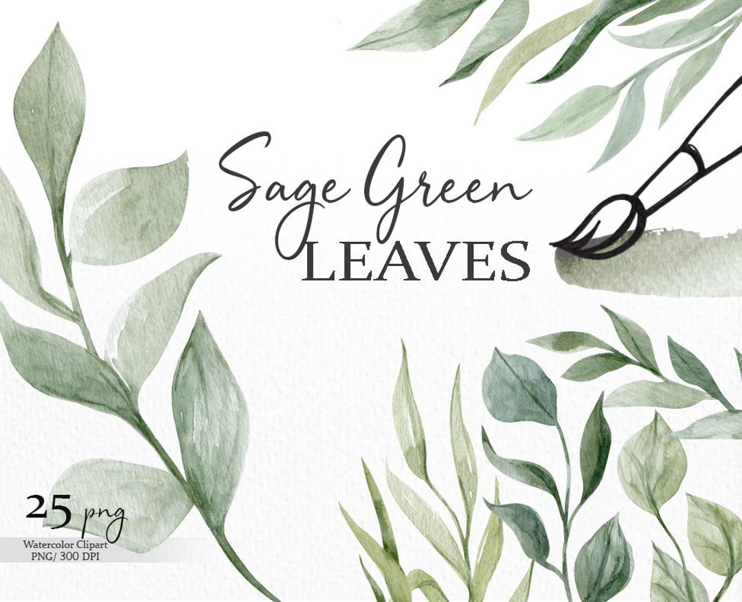 Sage Green Watercolor Leaves Png, Greenery Clipart, Branches Foliage