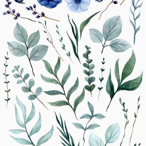 May include: A set of 37 watercolor illustrations featuring blue and green floral elements. The set includes blue flowers, green leaves, and sprigs of berries.