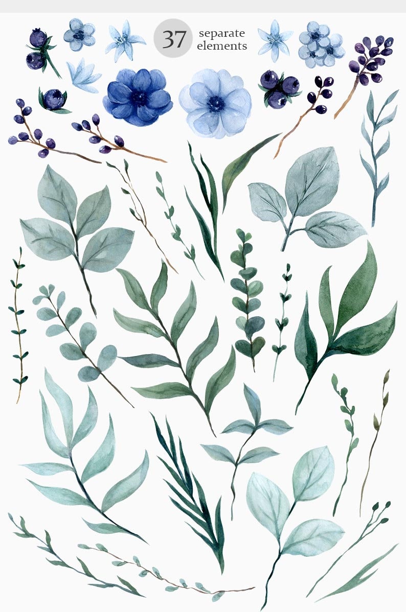 May include: A set of 37 watercolor illustrations featuring blue and green floral elements. The set includes blue flowers, green leaves, and sprigs of berries.