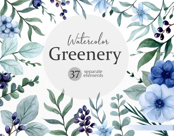 Watercolor greenery clipart png, wildflower clipart, watercolor floral clipart, leaves clipart, blue watercolor flowers, digital download
