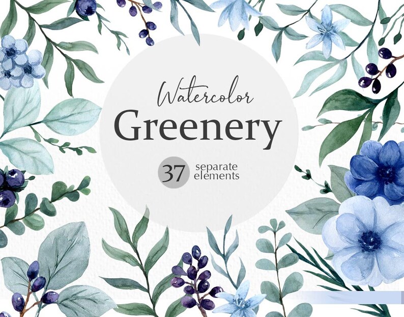 May include: Watercolor illustration of blue and green foliage, flowers, and berries. The illustration is labeled "Watercolor Greenery" and "37 separate elements".