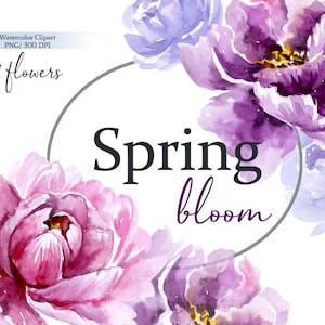 Spring flowers watercolor clipart, Pink purple peonys clipart, Botanical floral clipart, Sublimation watercolor flowers, Commercial Use, PNG