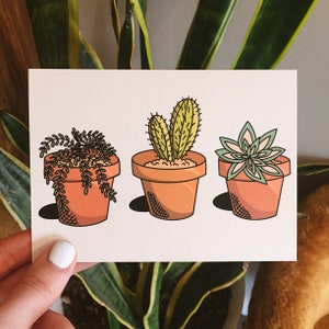 Carte succulente