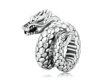 May include: Silver charm in the shape of a coiled dragon with detailed scales and a fierce expression.