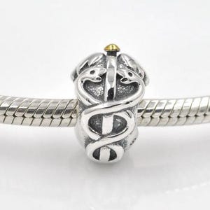 May include: A silver charm with a gold accent in the shape of a medical symbol, featuring two snakes wrapped around a staff.