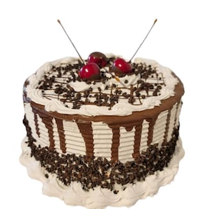 Beautiful chocolate fake cake 10&quot; wide x 5&quot;tall. Fake cake for food prop display.  Looks so real you will fool everyone!