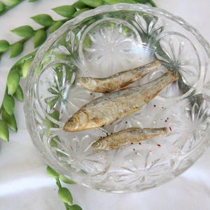 Minnows