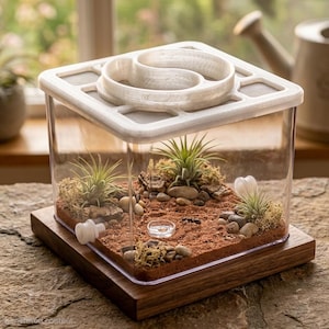 May include: A clear, rectangular terrarium with a white lid and a wooden base. Inside, there's a miniature landscape with plants, rocks, and a reddish-brown substrate. The lid has a unique, curved design.