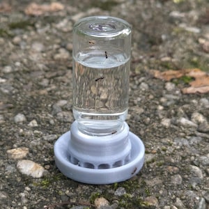 Kleines Flüssiges Ameisenhäuschen, 10ml, mit Schirmbarriere.