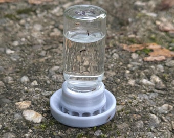 Alimento líquido pequeño para hormigas, 10 ml, con rejilla protectora.