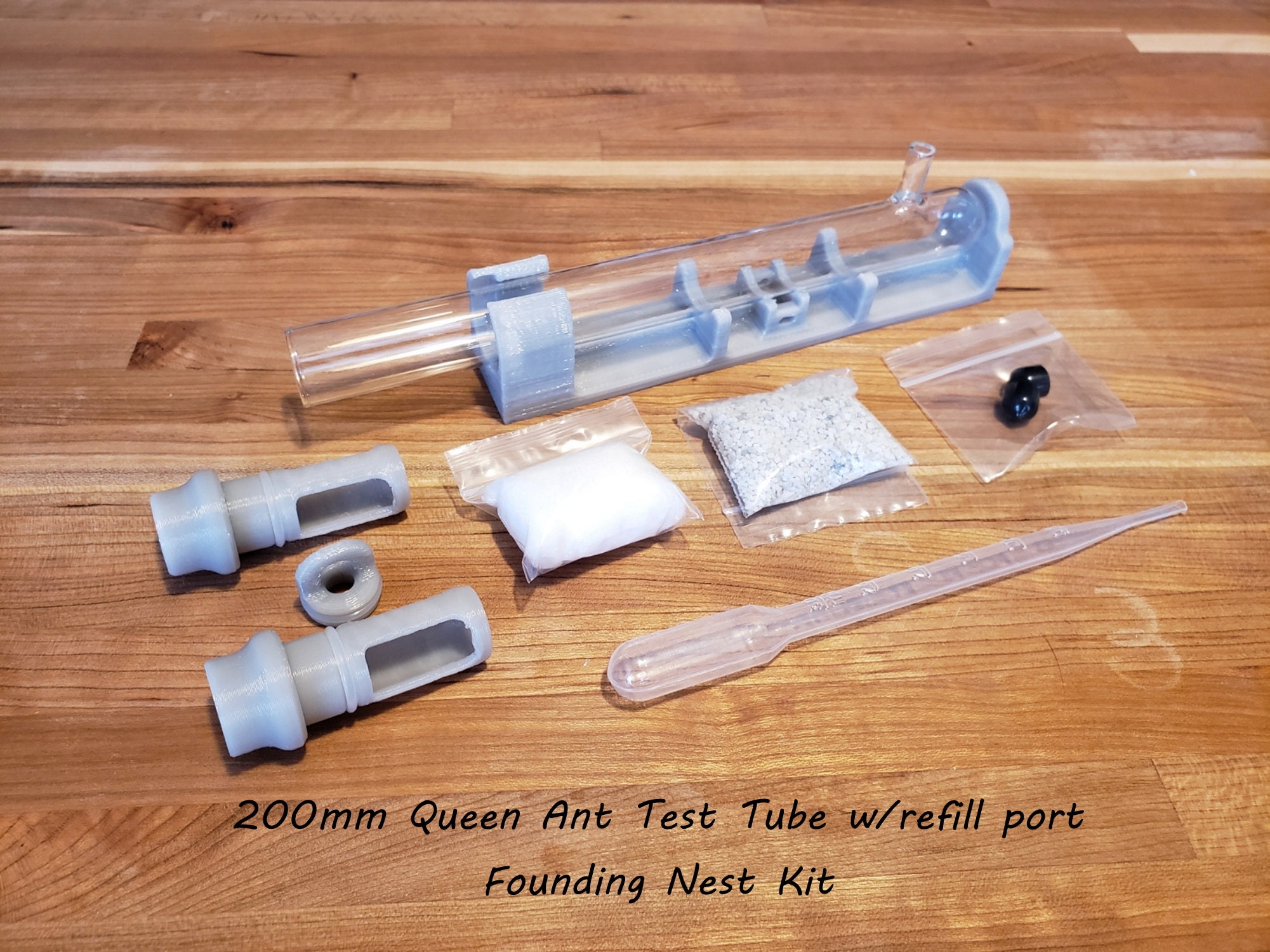 Queen Ant Starter Nest 20mm Glass Test Tube Kit Etsy