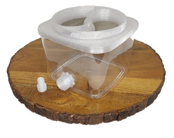 Outworld 6&quot;x6&quot; For Ants and Other Insects, Formicarium,